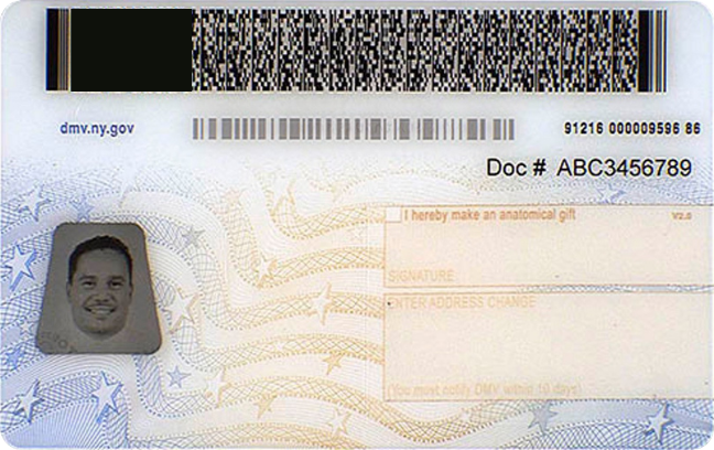 Back of NY-Prior Version ID