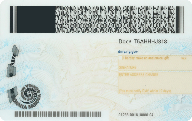 Back of NY ID