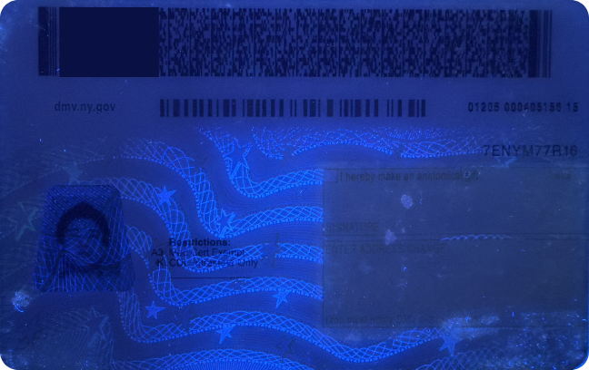 Back UV view of NY-Prior Version ID