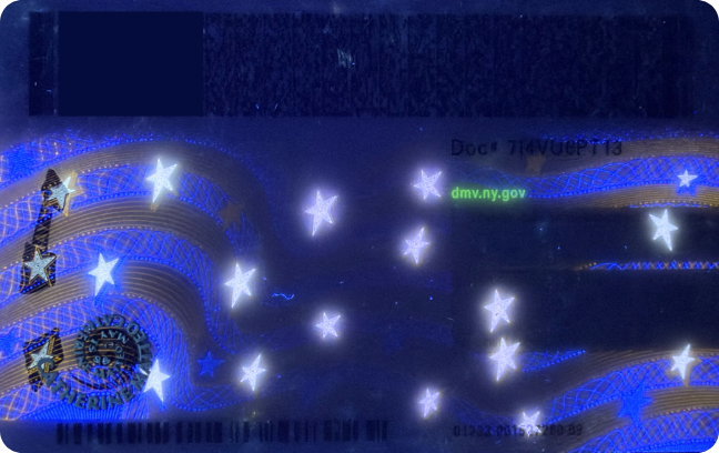 Back UV view of NY ID