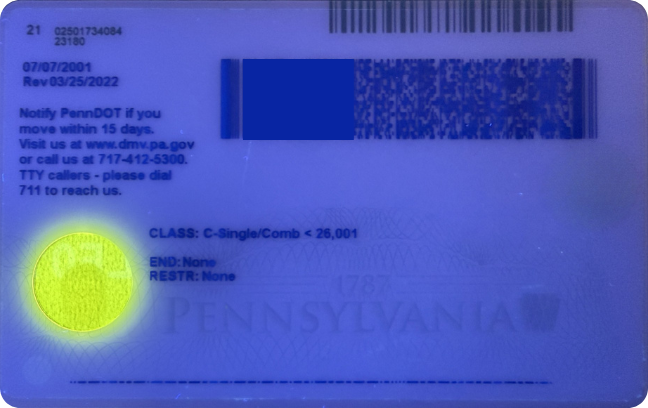 Back UV view of PA ID